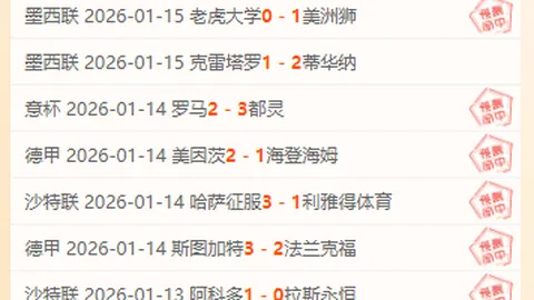 深度解读：2025年阿联酋世俱杯比赛规程